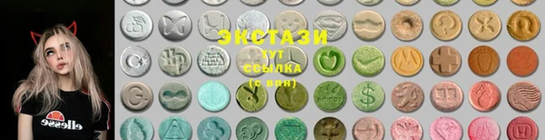 ECSTASY Богородицк